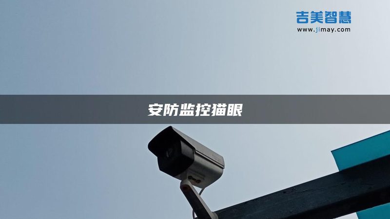智能巡更棒型号分类，不只是看外观那么简单